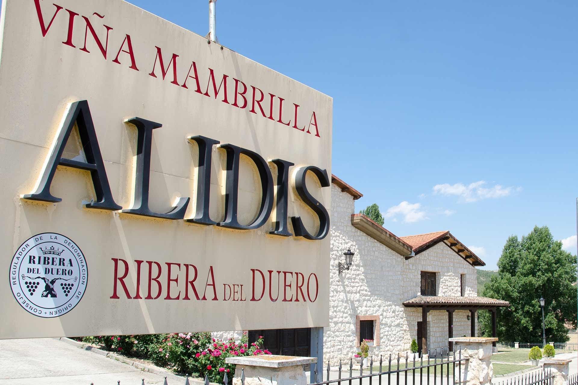 Viña Mambrilla, S.L. (D.O. Ribera de Duero)